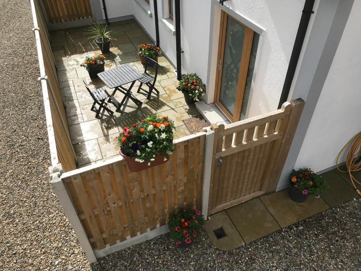 Apartament Oak Trees Corner Stylish , Relaxing , Getaway Wicklow Zewnętrze zdjęcie