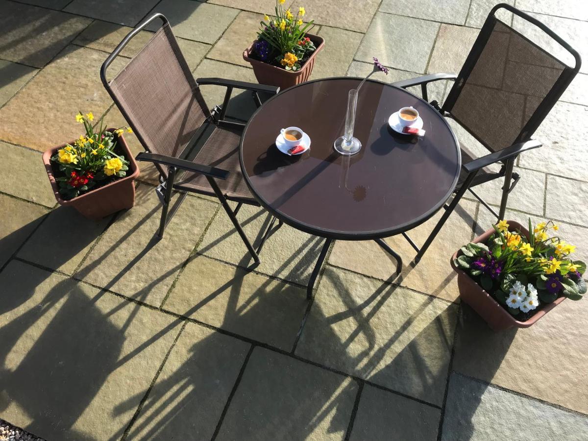 Apartament Oak Trees Corner Stylish , Relaxing , Getaway Wicklow Zewnętrze zdjęcie