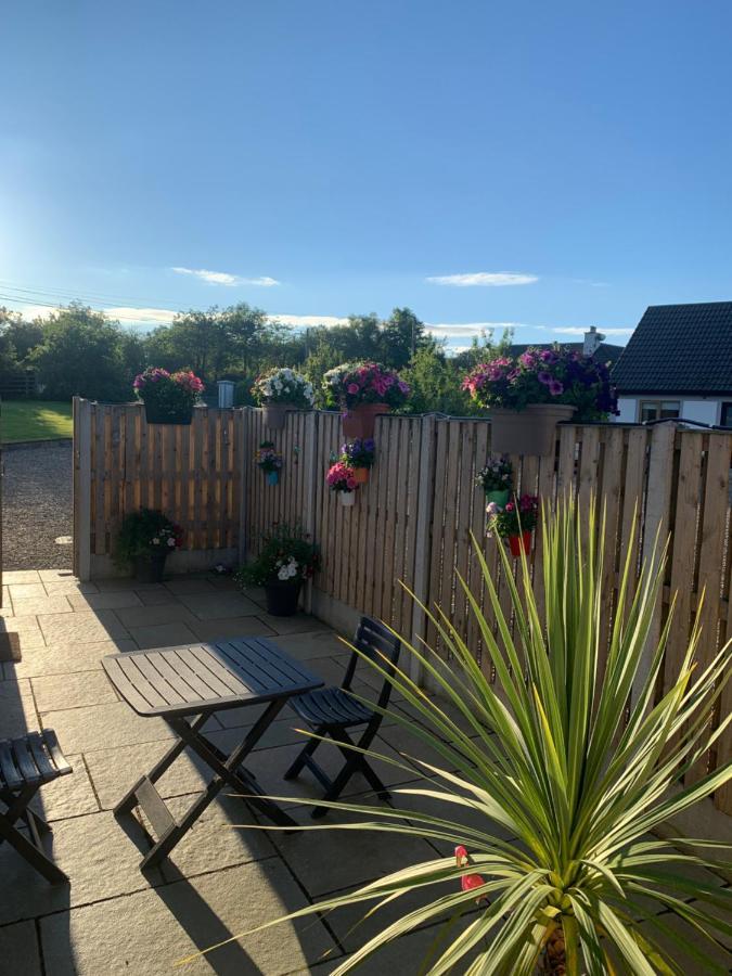 Apartament Oak Trees Corner Stylish , Relaxing , Getaway Wicklow Zewnętrze zdjęcie
